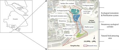 Restored coastal wetlands with low degree of separation and high patch connectivity attract more birds